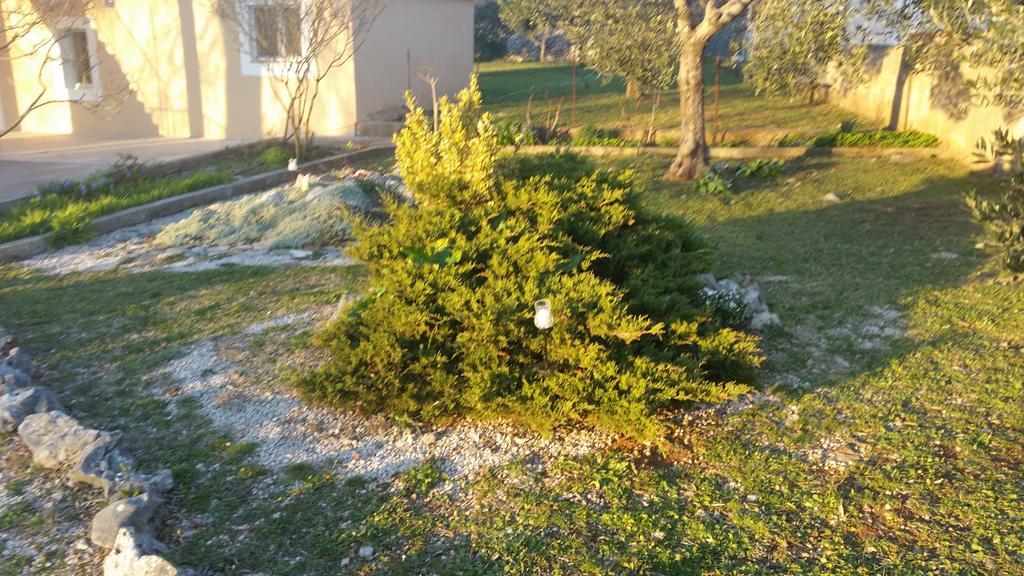Apartment Nika Šibenik Exteriör bild